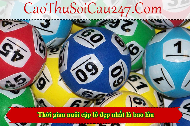 Thời gian nuôi cặp lô đẹp nhất là bao lâu