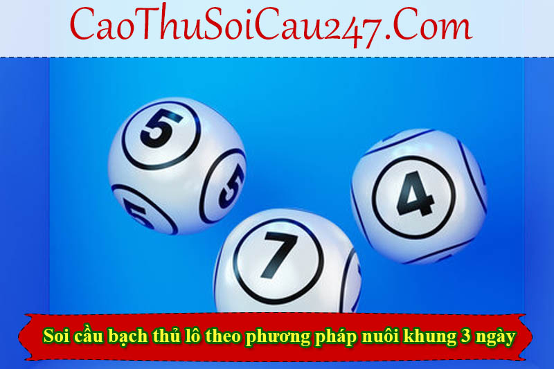 Soi cầu bạch thủ lô theo phương pháp nuôi khung 3 ngày