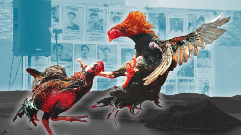 Sức hút của đá gà MM88, không chỉ là trò chơi, mà là đấu trường danh dự